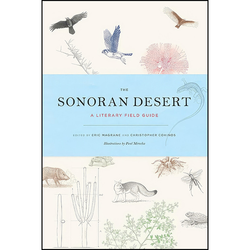 کتاب The Sonoran Desert اثر جمعي از نويسندگان انتشارات University of Arizona Press کتاب The Sonoran Desert اثر جمعي از نويسندگان انتشارات University of Arizona Press