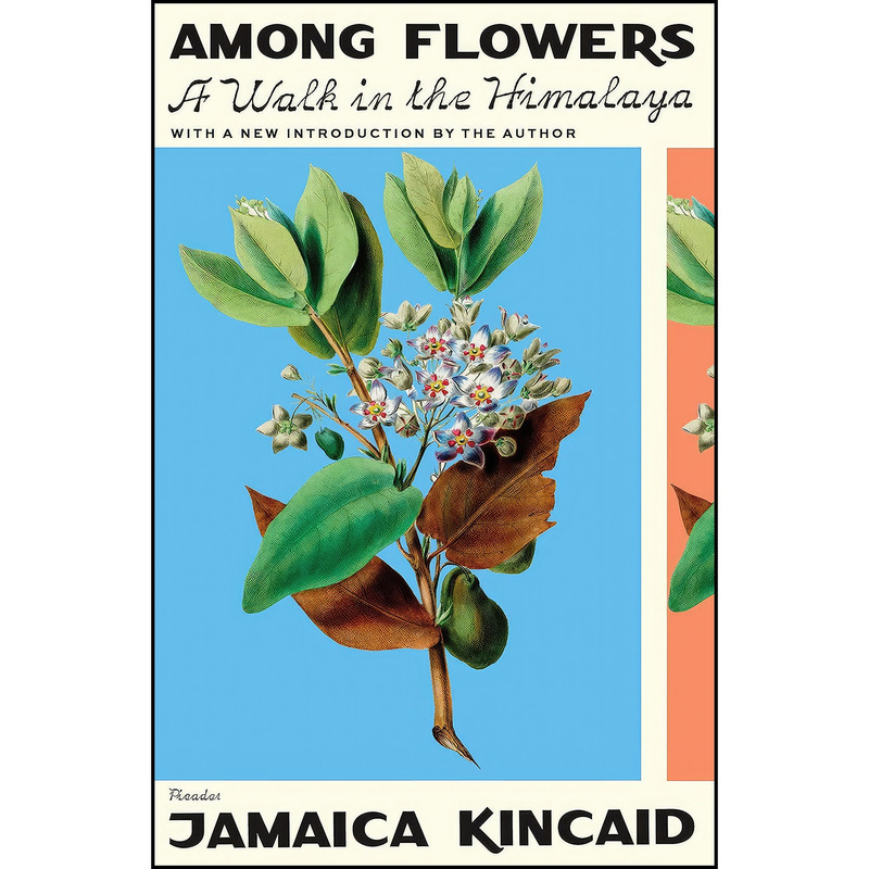 کتاب Among Flowers اثر Jamaica Kincaid انتشارات تازه ها کتاب Among Flowers اثر Jamaica Kincaid انتشارات تازه ها