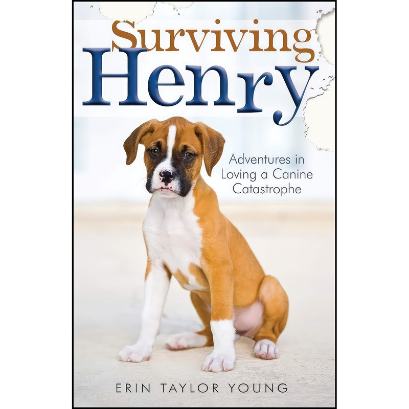 کتاب Surviving Henry اثر Erin Taylor Young انتشارات Revell کتاب Surviving Henry اثر Erin Taylor Young انتشارات Revell