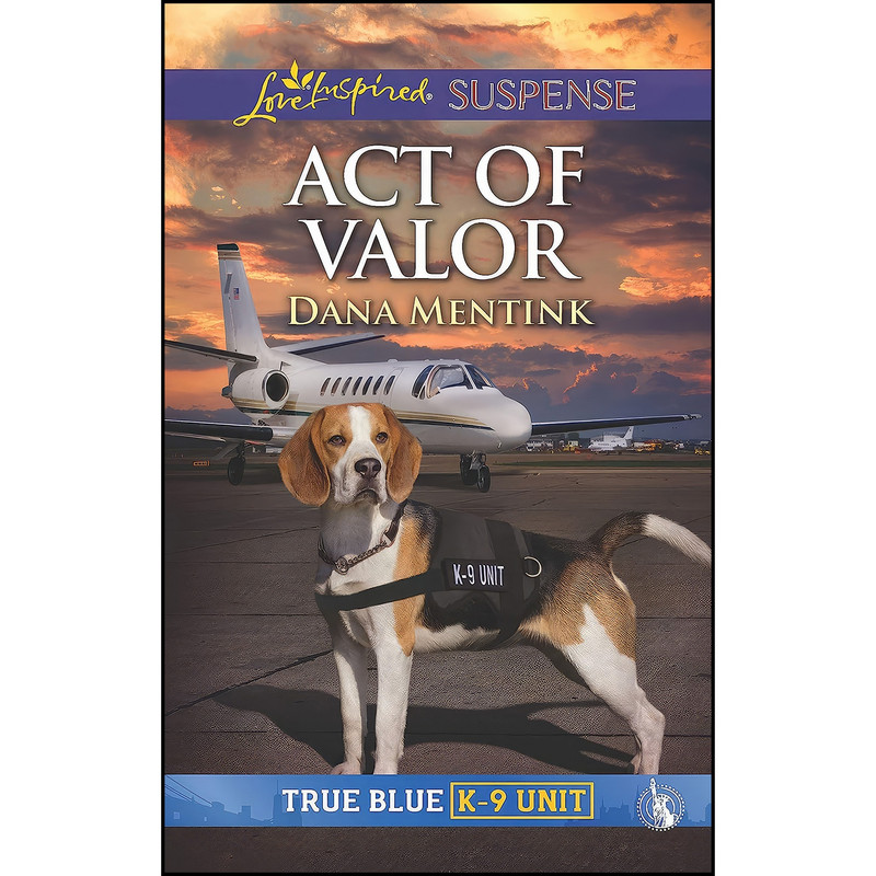 کتاب Act of Valor اثر Dana Mentink انتشارات Love Inspired Suspense کتاب Act of Valor اثر Dana Mentink انتشارات Love Inspired Suspense