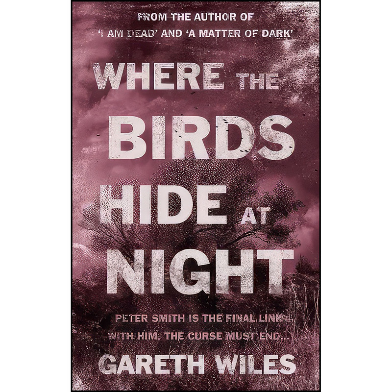 کتاب Where the Birds Hide at Night اثر Gareth Wiles انتشارات Troubador Publishing Ltd کتاب Where the Birds Hide at Night اثر Gareth Wiles انتشارات Troubador Publishing Ltd