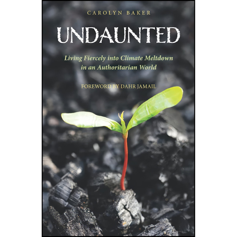 کتاب Undaunted اثر Carolyn Baker and Dahr Jamail انتشارات تازه ها کتاب Undaunted اثر Carolyn Baker and Dahr Jamail انتشارات تازه ها