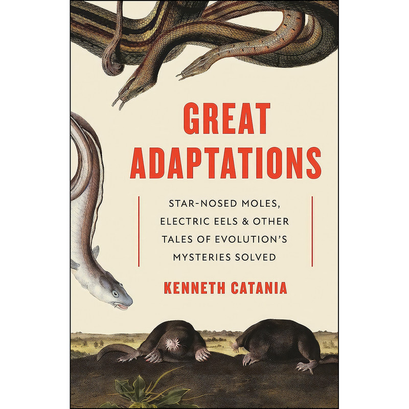 کتاب Great Adaptations اثر Kenneth Catania انتشارات Princeton University Press کتاب Great Adaptations اثر Kenneth Catania انتشارات Princeton University Press