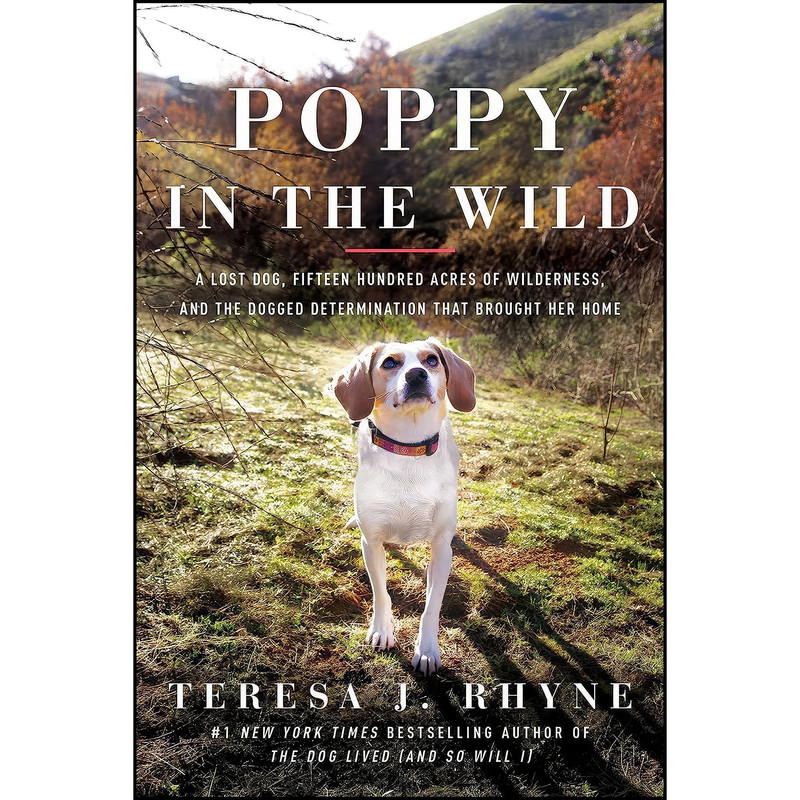 کتاب Poppy in the Wild اثر Teresa Rhyne انتشارات Pegasus Books کتاب Poppy in the Wild اثر Teresa Rhyne انتشارات Pegasus Books