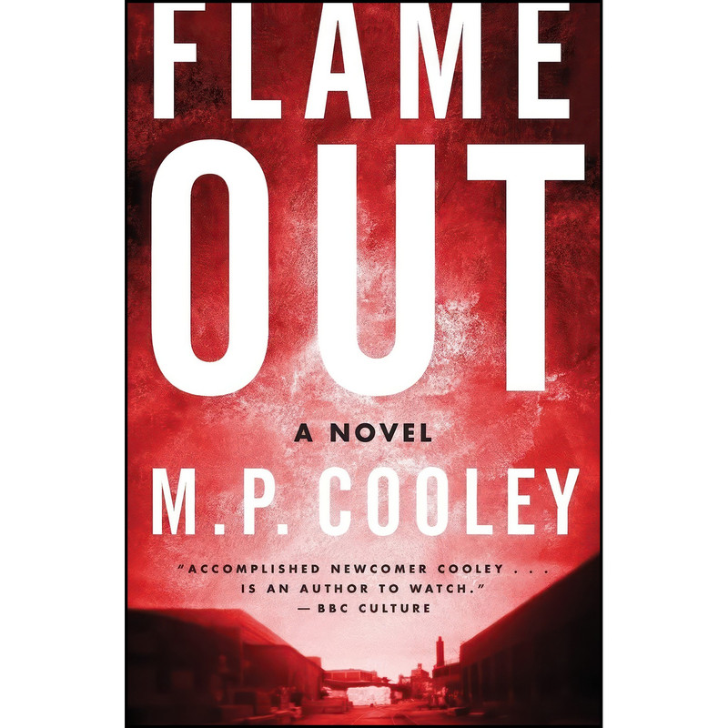 کتاب Flame Out اثر M. P. Cooley انتشارات William Morrow Paperbacks کتاب Flame Out اثر M. P. Cooley انتشارات William Morrow Paperbacks