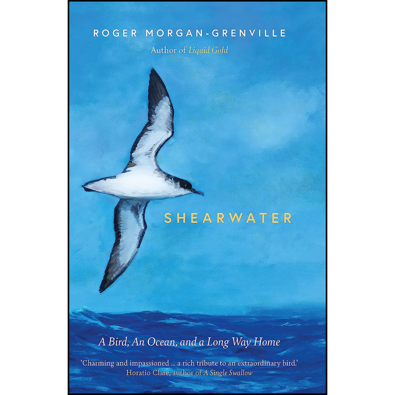 کتاب Shearwater اثر Roger Morgan-Grenville انتشارات Icon Books کتاب Shearwater اثر Roger Morgan-Grenville انتشارات Icon Books