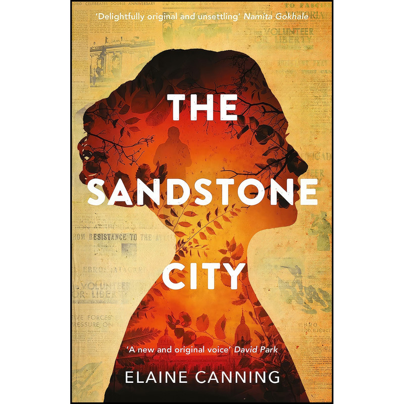 کتاب Sandstone City, the اثر Elaine Canning انتشارات تازه ها کتاب Sandstone City, the اثر Elaine Canning انتشارات تازه ها