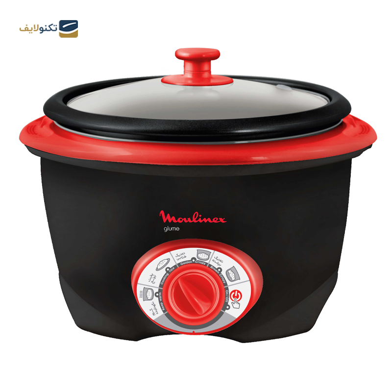 gallery-پلوپز 8 نفره مولینکس مدل RC1108-10GR copy.png