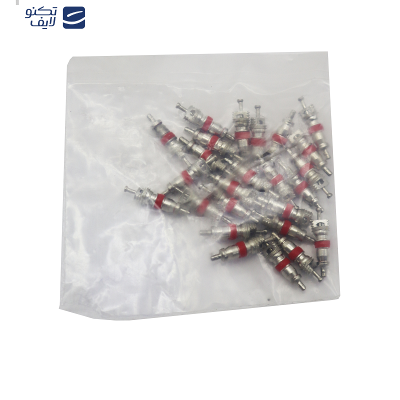 سوزن والف خودرو مدل YP-020 بسته 20 عددی سوزن والف خودرو مدل YP-020 بسته 20 عددی
