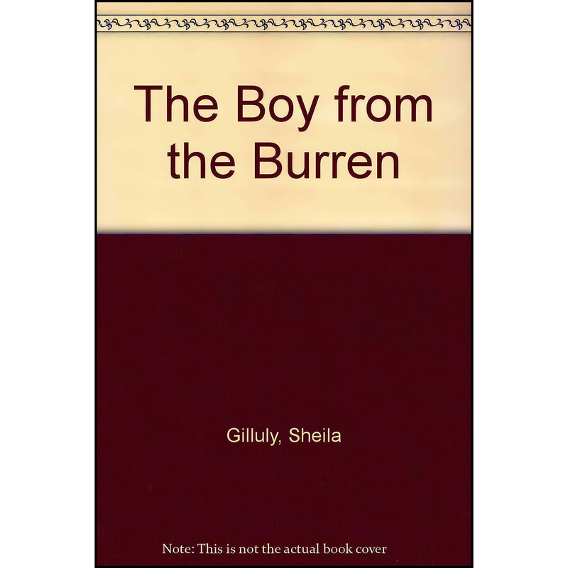کتاب The Boy from the Burren اثر Sheila Gilluly انتشارات Headline کتاب The Boy from the Burren اثر Sheila Gilluly انتشارات Headline