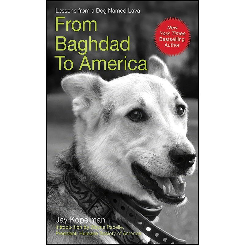 کتاب From Baghdad to America اثر Jay Kopelman انتشارات Skyhorse کتاب From Baghdad to America اثر Jay Kopelman انتشارات Skyhorse