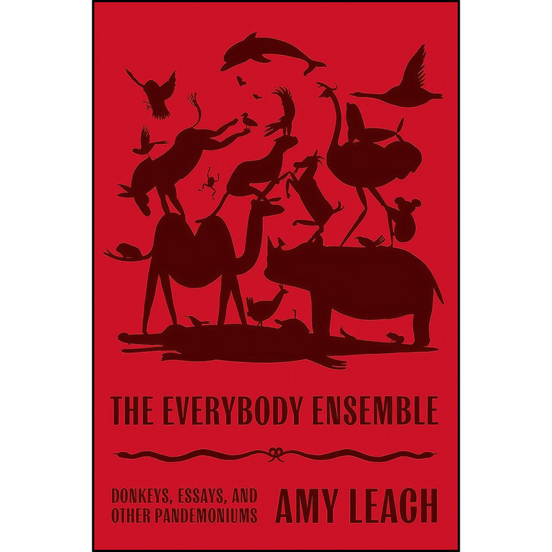 کتاب The Everybody Ensemble اثر Greg Pak and Amy Leach انتشارات Farrar, Straus and Giroux کتاب The Everybody Ensemble اثر Greg Pak and Amy Leach انتشارات Farrar, Straus and Giroux