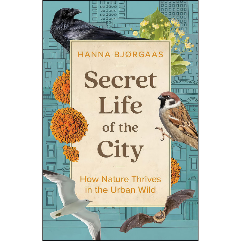کتاب Secret Life of the City اثر جمعي از نويسندگان انتشارات Greystone Books کتاب Secret Life of the City اثر جمعي از نويسندگان انتشارات Greystone Books