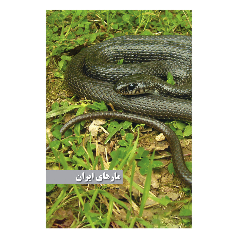 کتاب مارهای ایران اثر مهدی رجبی زاده انتشارات ایرانشناسی کتاب مارهای ایران اثر مهدی رجبی زاده انتشارات ایرانشناسی