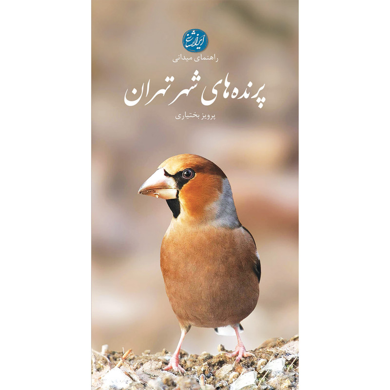 کتاب پرندههای شهر تهران اثر پرویز بختیاری انتشارات ایرانشناسی