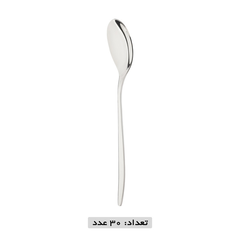 سرویس قاشق و چنگال 119 پارچه نایس بیوتی مدل 341M