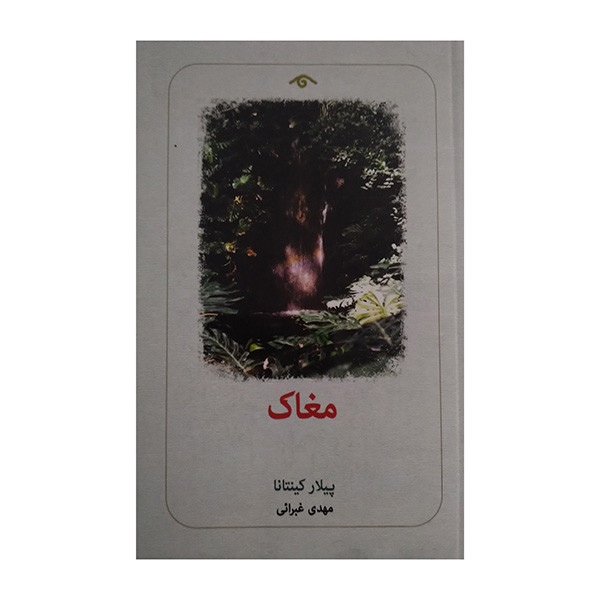 کتاب مغاک اثر پیلار کینتانا ترجمه مهدی غبرائی انتشارات کتاب دیدآور کتاب مغاک اثر پیلار کینتانا ترجمه مهدی غبرائی انتشارات کتاب دیدآور