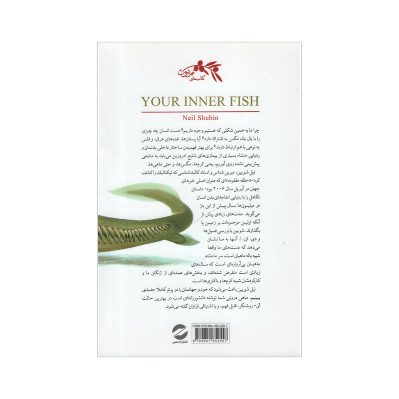 کتاب ماهی درونی شما اثر نیل شوبین نشر معین کتاب ماهی درونی شما اثر نیل شوبین نشر معین