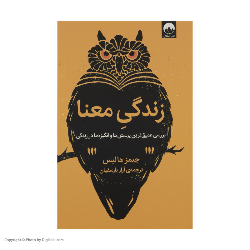 کتاب زندگی معنا اثر جیمز هالیس نشر میلکان کتاب زندگی معنا اثر جیمز هالیس نشر میلکان