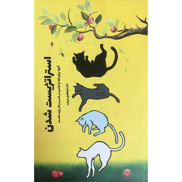 کتاب استراتژیست شدن اثر ابوالفضل شرافت انتشارات ادینه کتاب استراتژیست شدن اثر ابوالفضل شرافت انتشارات ادینه