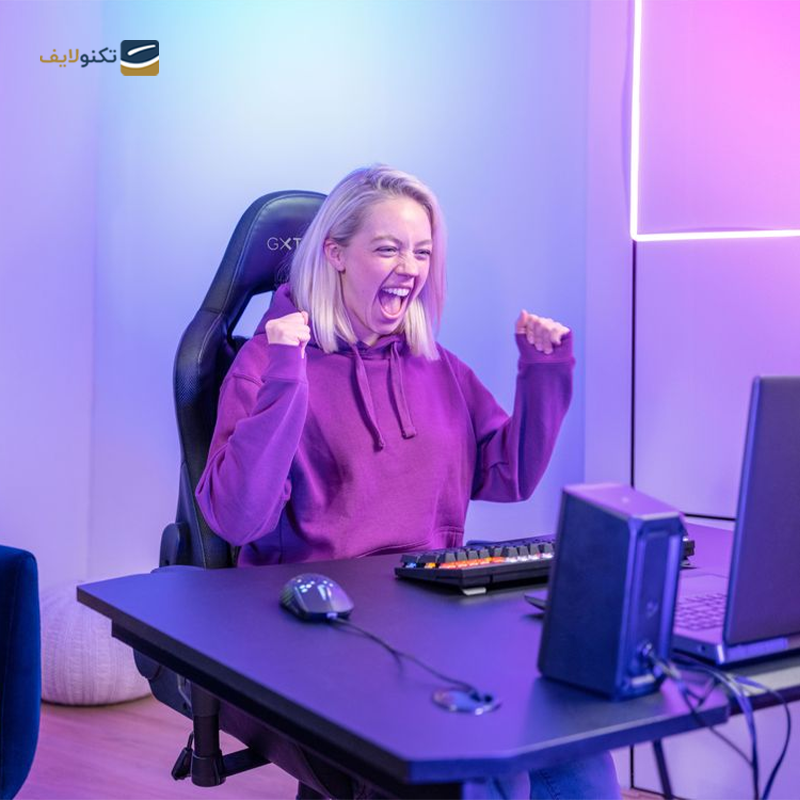 gallery-اسپیکر دسکتاپ تراست مدل GXT 608 TYTAN copy.png