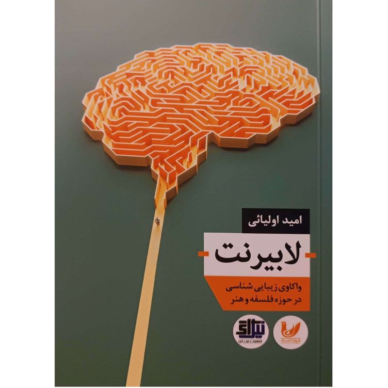 کتاب لابیرنت اثر امید اولیایی انتشارات اندیشه احسان
