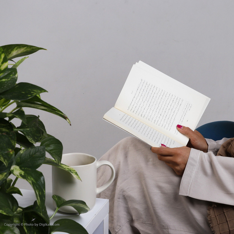 کتاب تاریخ و ادبیات ایران ابن سینا اثر محمد دهقانی نشر نی کتاب تاریخ و ادبیات ایران ابن سینا اثر محمد دهقانی نشر نی
