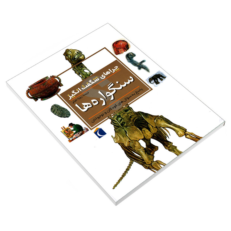 کتاب چراهای شگفت انگیز سنگواره ها اثر کریس پلان نشر محراب قلم کتاب چراهای شگفت انگیز سنگواره ها اثر کریس پلان نشر محراب قلم