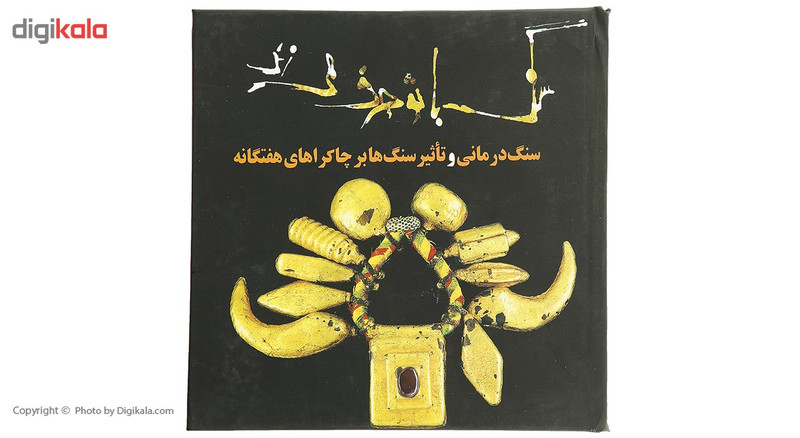 کتاب سنگ با تو حرف می زند اثر دنیس ویچلو براون کتاب سنگ با تو حرف می زند اثر دنیس ویچلو براون