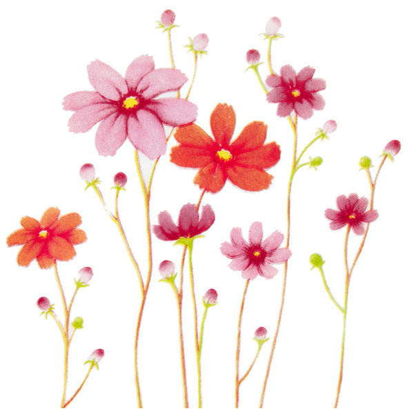 بشقاب خورش خوری لومینارک مدل کانتری فلاورز بسته 6 عددی بشقاب خورش خوری لومینارک مدل کانتری فلاورز بسته 6 عددی