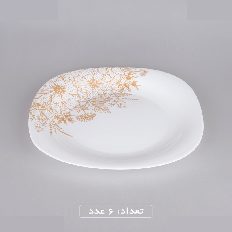 سرویس غذاخوری 25 پارچه گلدن اوپال مدل لیلیان کد Carine سرویس غذاخوری 25 پارچه گلدن اوپال مدل لیلیان کد Carine