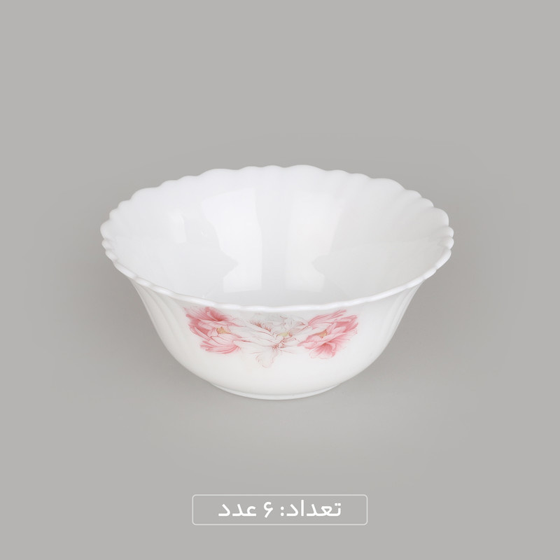 سرویس غذاخوری 25 پارچه گلدن اوپال مدل سارا کد Carine سرویس غذاخوری 25 پارچه گلدن اوپال مدل سارا کد Carine