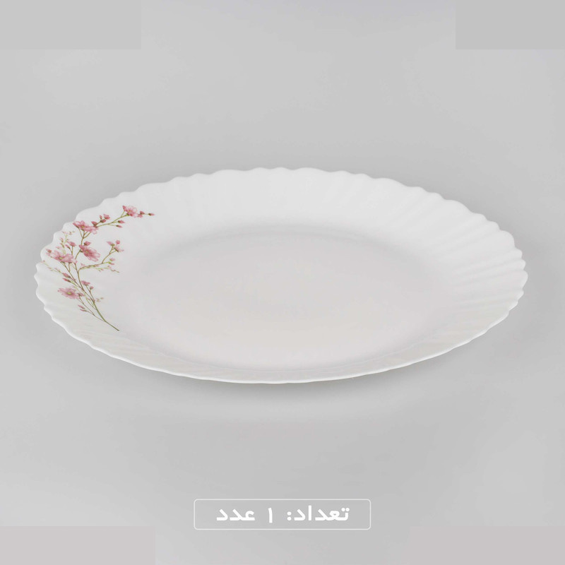سرویس غذاخوری 25 پارچه 6 نفره گلدن اوپال مدل شهرزاد ژانتی درجه 3 سرویس غذاخوری 25 پارچه 6 نفره گلدن اوپال مدل شهرزاد ژانتی درجه 3