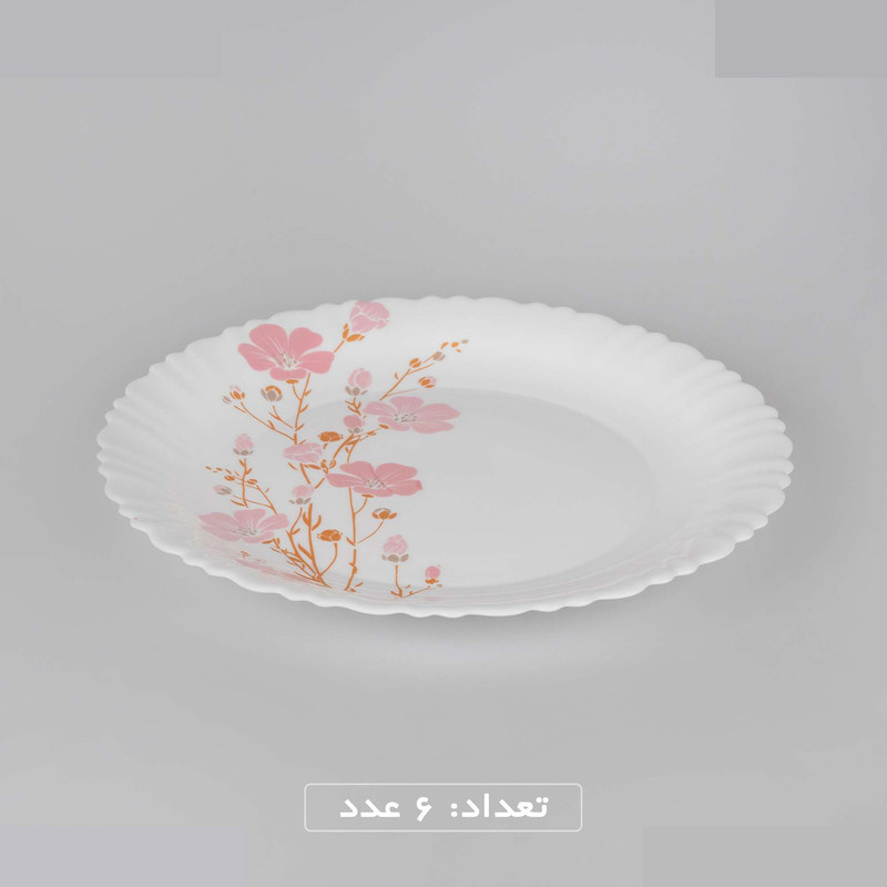 سرویس غذاخوری 25 پارچه 6 نفره گلدن اوپال مدل شهرزاد ژانتی درجه 3 سرویس غذاخوری 25 پارچه 6 نفره گلدن اوپال مدل شهرزاد ژانتی درجه 3