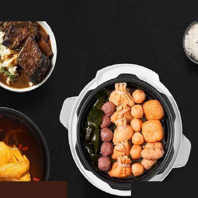 زودپز برقی 5 لیتری شیائومی مدل MYL02-1