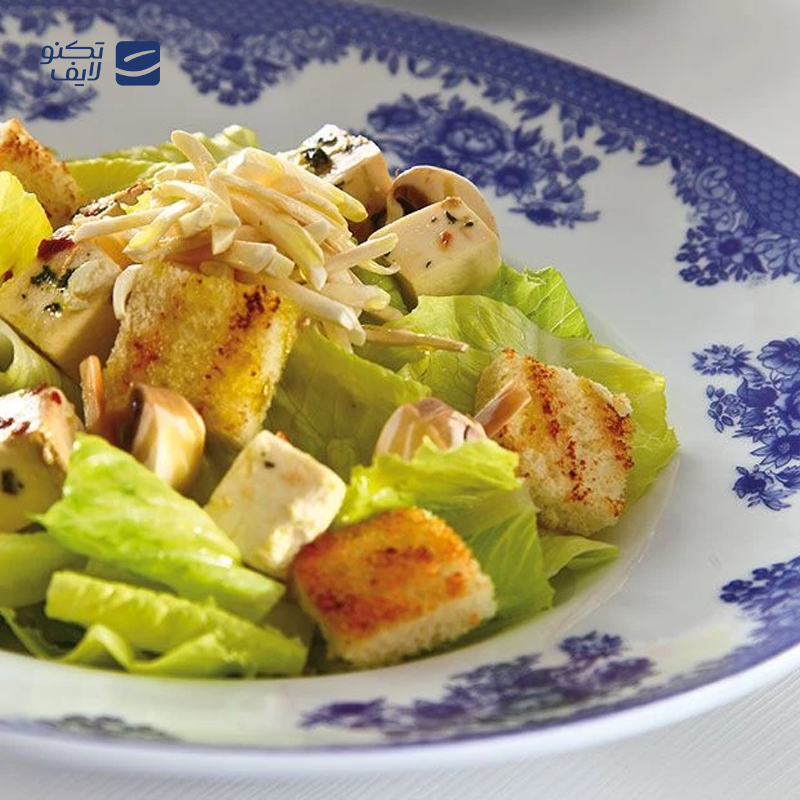 gallery-ظرف پاستا چینی زرین ایران سری ایتالیا اف مدل فلورانس درجه عالی-gallery-0-TLP-279552_bbdf8484-2699-45e8-ae95-2a6faaea623e.png