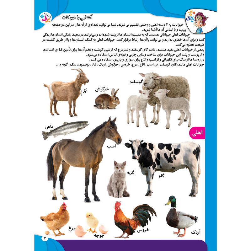 کتاب کار مغز خلاق مفاهیم ۱ میبینم، یاد میگیرم اثر فاطمه قدیانی و مهری عربیه انتشارات برف کتاب کار مغز خلاق مفاهیم ۱ میبینم، یاد میگیرم اثر فاطمه قدیانی و مهری عربیه انتشارات برف