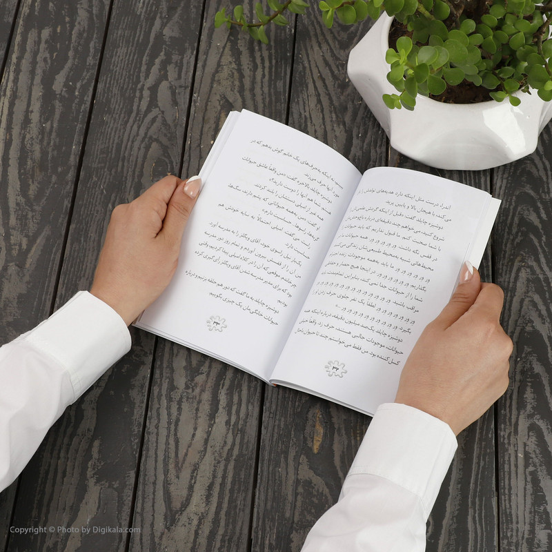 کتاب مدرسه پر ماجرا 25 پایان حیرت آور اثر دن گاتمن نشر گام کتاب مدرسه پر ماجرا 25 پایان حیرت آور اثر دن گاتمن نشر گام