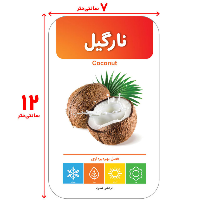 فلش کارت آشنایی با میوهها و سبزیجات انتشارات اندیشه کهن فلش کارت آشنایی با میوهها و سبزیجات انتشارات اندیشه کهن