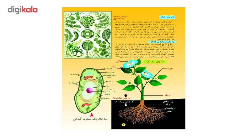 کتاب گیاهان اثر علی ذوالفقاری