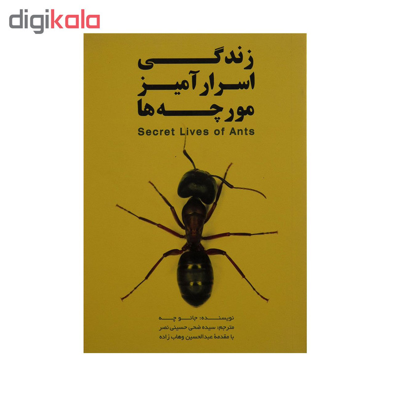 کتاب زندگی اسرار آمیز مورچه ها اثر جاعو چه انتشارات گوتنبرگ کتاب زندگی اسرار آمیز مورچه ها اثر جاعو چه انتشارات گوتنبرگ