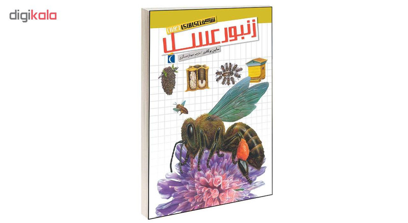 کتاب شگفتی های جهان زنبور عسل اثر سابین بوکادور انتشارات محراب قلم کتاب شگفتی های جهان زنبور عسل اثر سابین بوکادور انتشارات محراب قلم