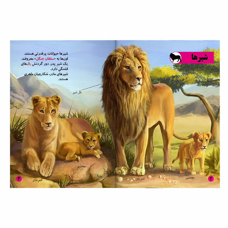 کتاب حیوانات جنگلی اثر رحیم اصلانی انتشارات گهواره کتاب حیوانات جنگلی اثر رحیم اصلانی انتشارات گهواره
