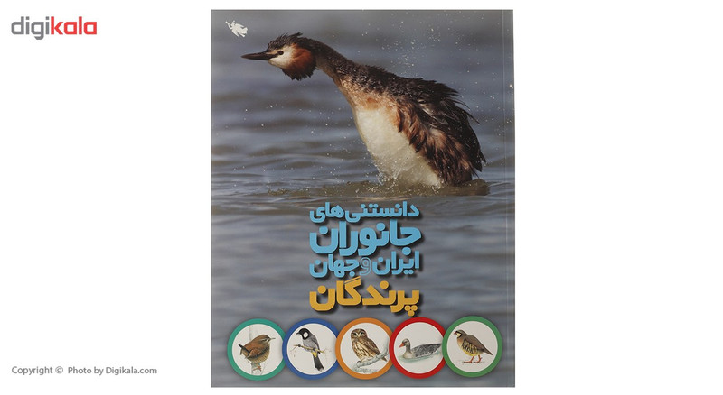 کتاب دانستنی های جانوران ایران و جهان پرندگان اثر محمد کرام الدینی کتاب دانستنی های جانوران ایران و جهان پرندگان اثر محمد کرام الدینی