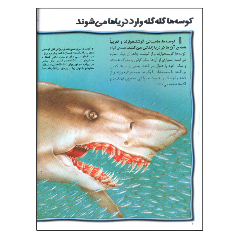 کتاب 100 حقیقت درباره ی کوسه ها اثر استیو پارکر انتشارات سایه گستر کتاب 100 حقیقت درباره ی کوسه ها اثر استیو پارکر انتشارات سایه گستر
