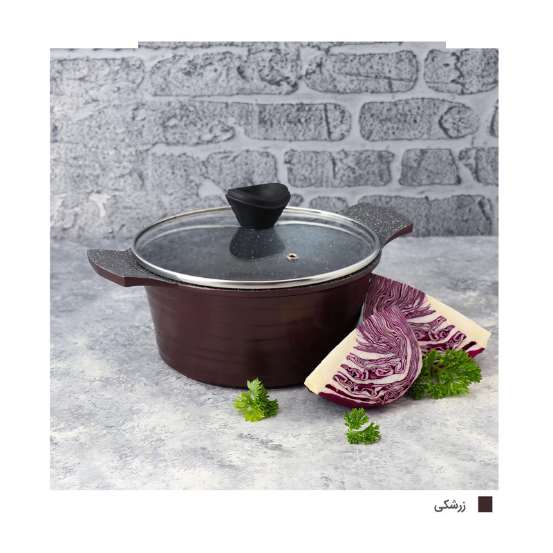 قابلمه دسینی مدل Rejina سایز 20