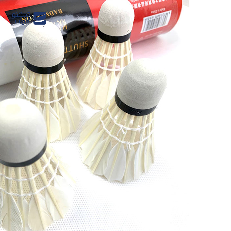 gallery-توپ بدمینتون یونکس مدل 350 بسته 6 عددی copy.png