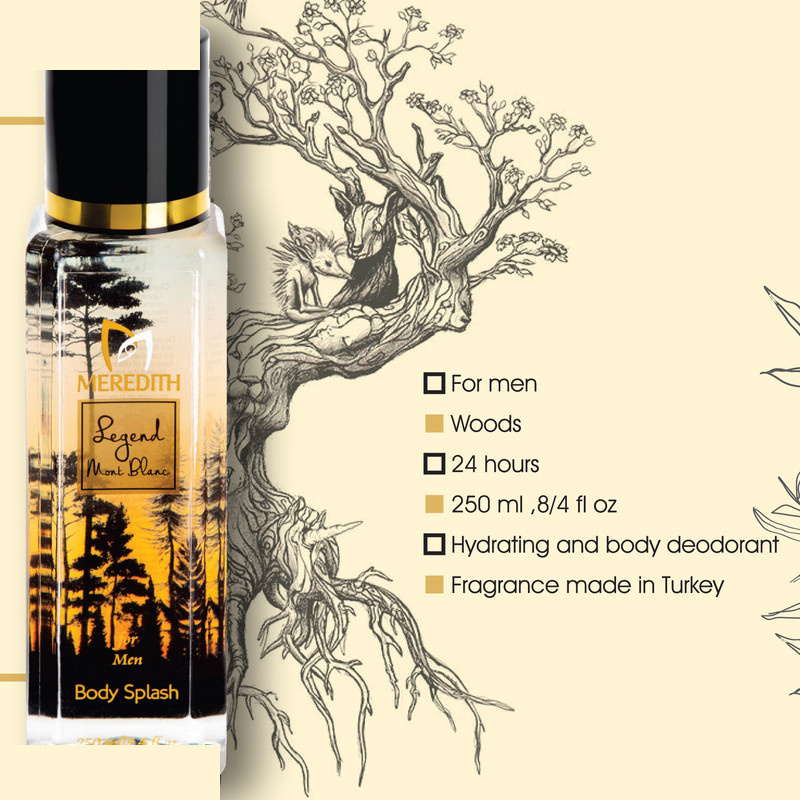 بادی اسپلش مردانه مردیت مدل legend حجم 250 میلی لیتر