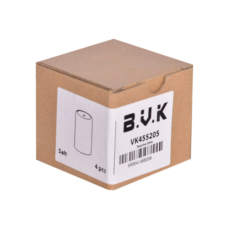 ست نمکپاش و فلفلپاش بی.وی.کی طرح OLIVE کد 455205 مجموعه 4 عددی