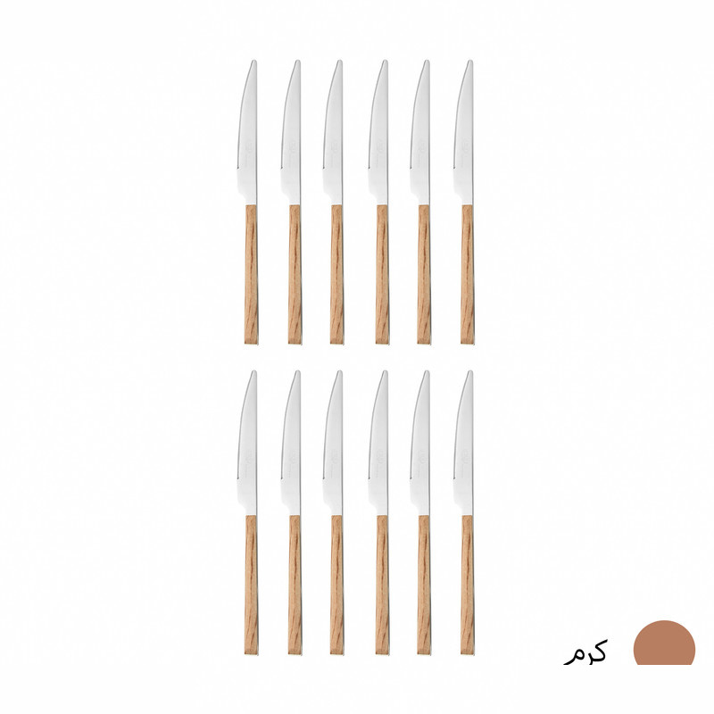 کارد میوه خوری سی اند اس مدل 001 بسته 12 عددی کارد میوه خوری سی اند اس مدل 001 بسته 12 عددی